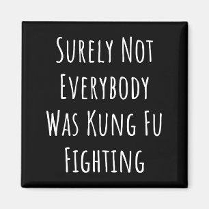 Surely Not Everybody Was Kung Fu Fighting Magnet