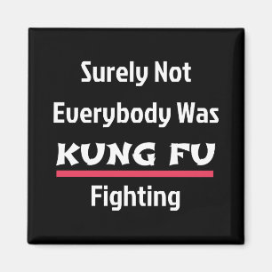 Surely Not Everybody Was KUNG FU Fighting Magnet