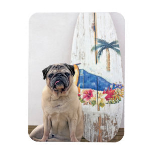 Surf Pug Magnet