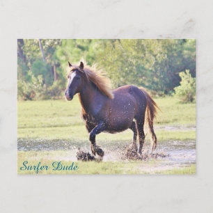 Surfer Dude Wading Postcard