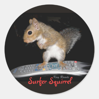 Surfer Squirrel Classic Round Sticker