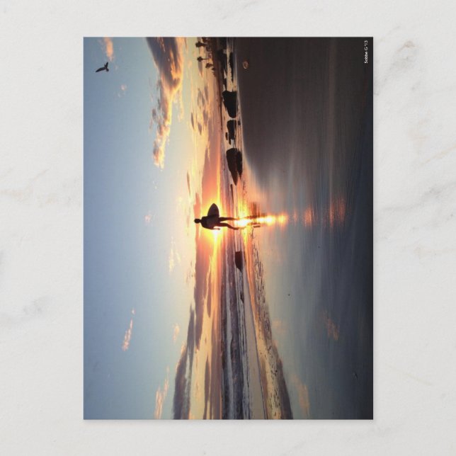 Surfer Sunset Post Card (Front)