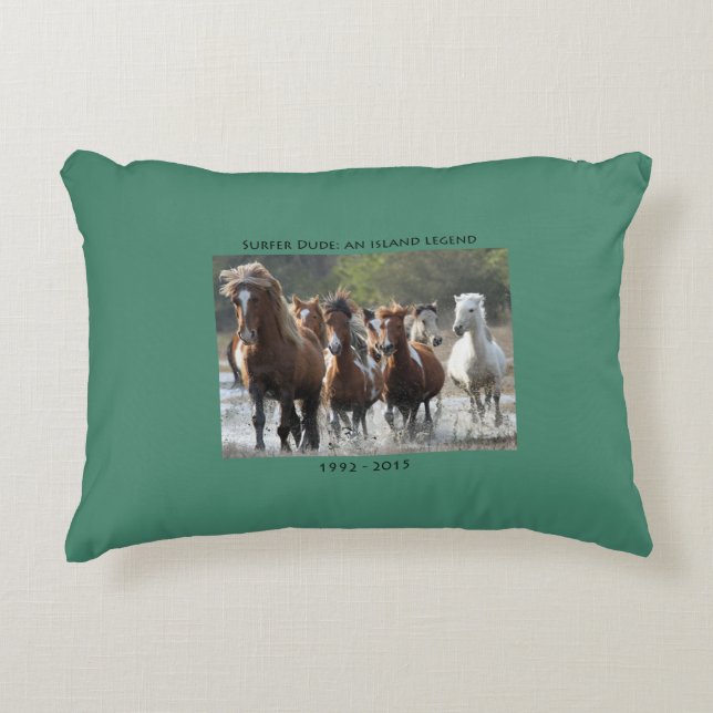 Surfer's Band Accent Pillow (Front)