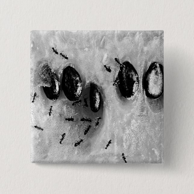 surfing ants 2 inch square button (Front)