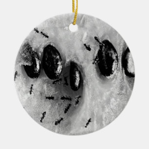 surfing ants ceramic ornament