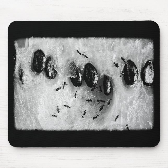 surfing ants mouse pad (Front)