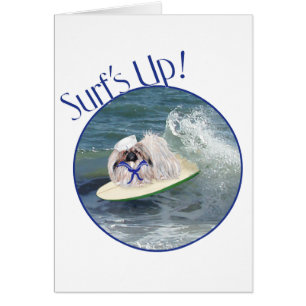 Surfing Pekingese Dog
