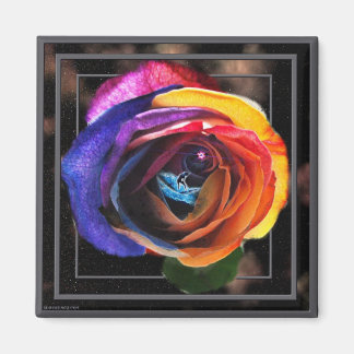 Surfing the Rainbow Rose Magnet