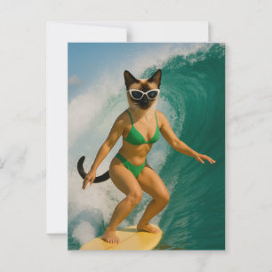 Surfing themed for Siamese Cat lovers Postcard