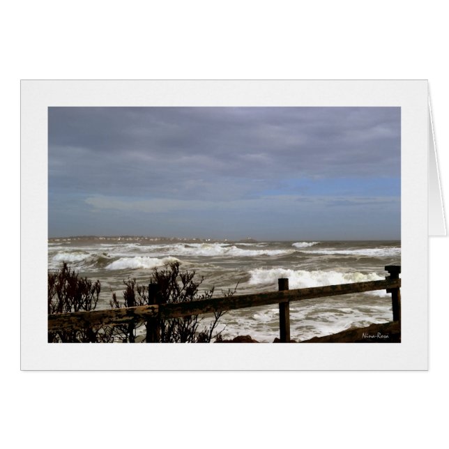 Surf's Up! (Front Horizontal)