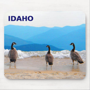 Surf's Up! - Geese Mouse Pad
