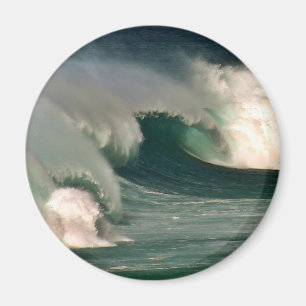 Surf's Up! Magnet