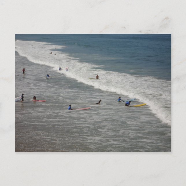 Surf's Up Postcard (Front)