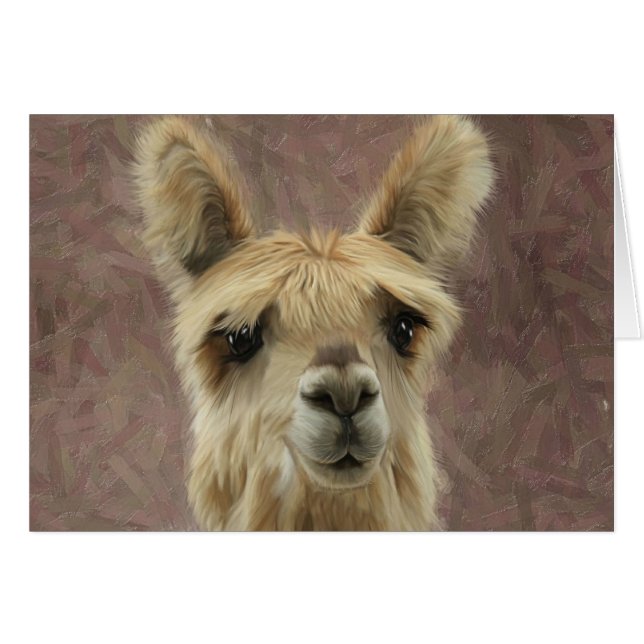 Suri Alpaca (Devant horizontal)