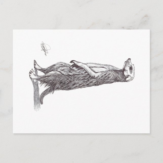 SURICATA. MEERKAT HOLIDAY POSTCARD (Front)