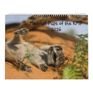 Suricates du calendrier KMP 2026
