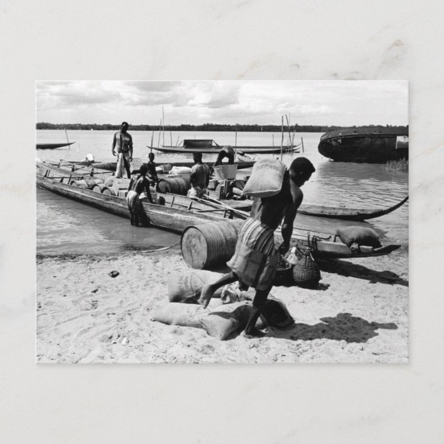 Suriname Beach  Postcard (Front)