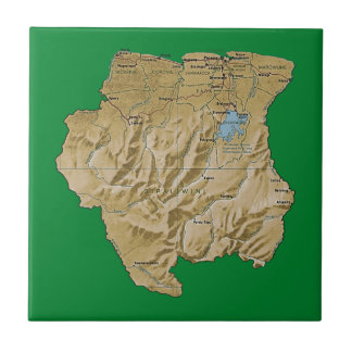 Suriname Map Tile