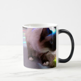 Surprise! CatM Magic Mug