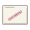 Surprise Confidential folder Invitation