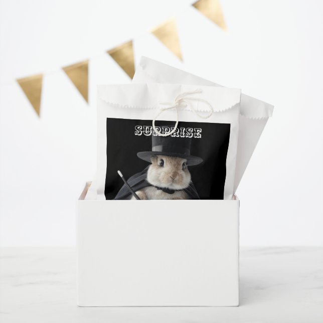 SURPRISE FAVOUR BAG (Party)