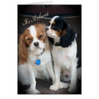 Surprise Party "It's A Secret" Cards