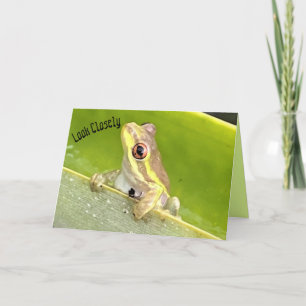 Surprise! Tree Frog on Pineapple Plant Card