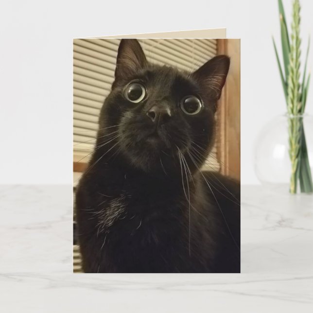 Surprised Black Cat Card (Front)