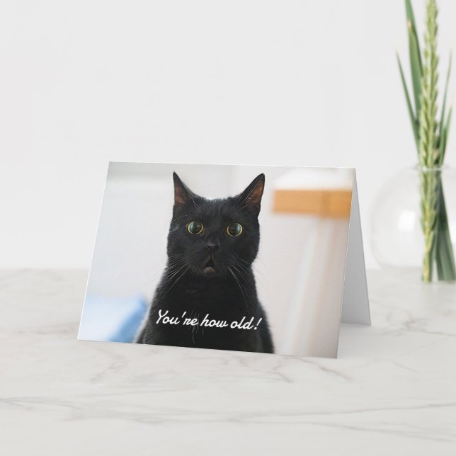 Surprised Cat Funny Birthday Holiday Card (Front)