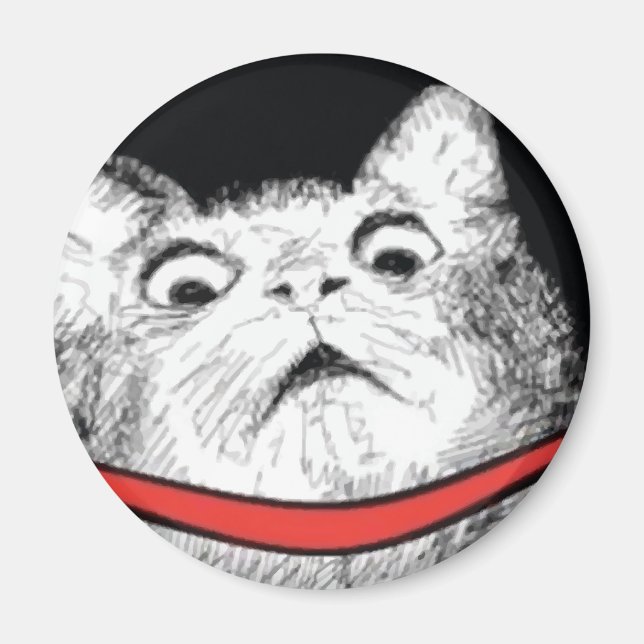 Surprised Cat Gasp Meme - Magnet (Front)