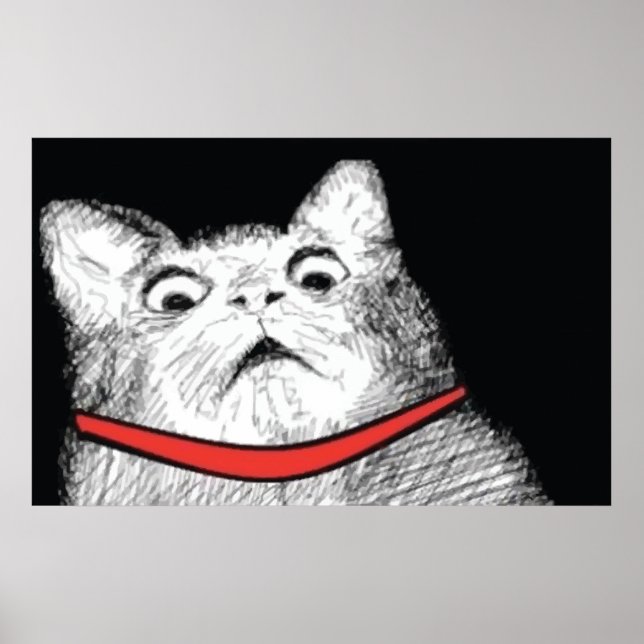 Surprised Cat Gasp Meme - Poster (Front)