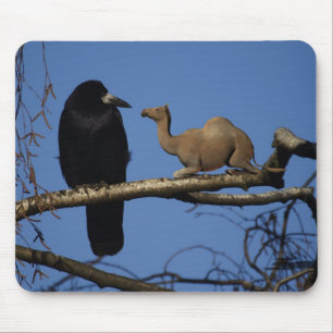 Surprised Crow Mouse Pad
