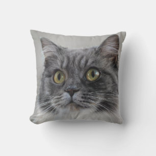 Surprised grey cat, a distinctive breed throw pillow