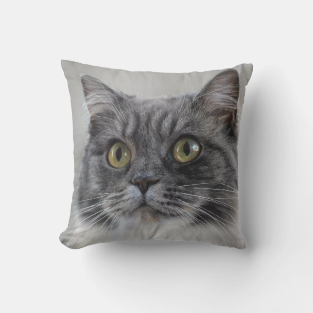 Surprised grey cat, a distinctive breed throw pillow (Front)