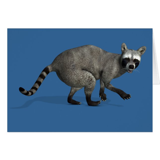 Surprised Raccoon (Front Horizontal)