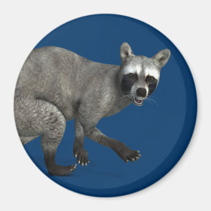 Surprised Raccoon Magnet