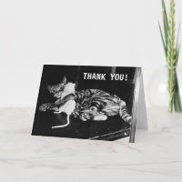 Surprising Friendship Cat and Mouse | Thank You