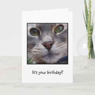 Surprized Cat, It's your birthday? Card