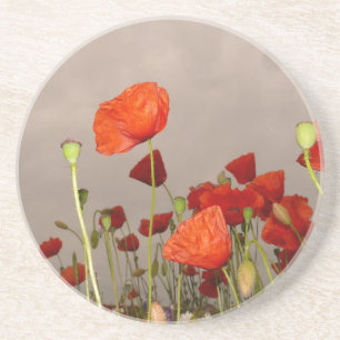 Surrea Red Poppies Coaster