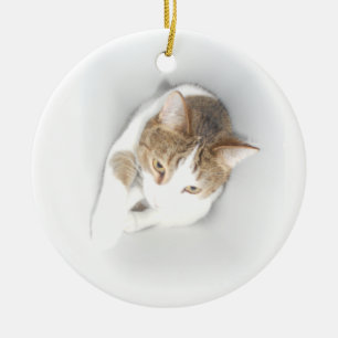Surreal Cat in the Light Ceramic Ornament