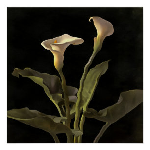 Surreal Easter Lilies On A Black Background Poster