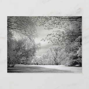 Surreal false colour infrared spring landscape. postcard