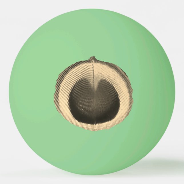 Surreal Peacock Eye Ping Pong Ball (Front)