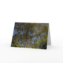Surreal Tree Blank Card