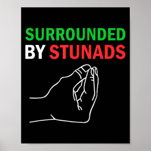 Surrounded By Stunads Funny Italian Sayings  Poster