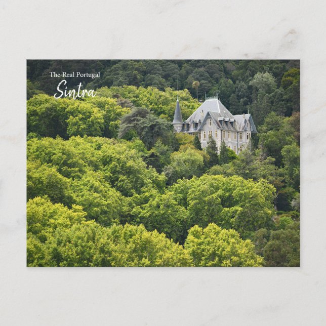 Surrounded in Sintra, Portugal  Postcard (Front)