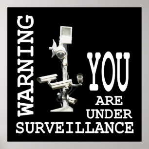 Surveillance video cameras poster