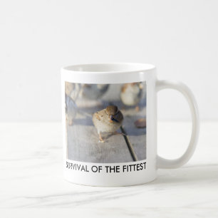Survival Of The Fittest Coffee Mug
