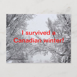 Survived a Canadian Winter Post Card