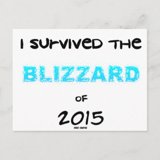 Survived the Blizzard 2015 Postcard